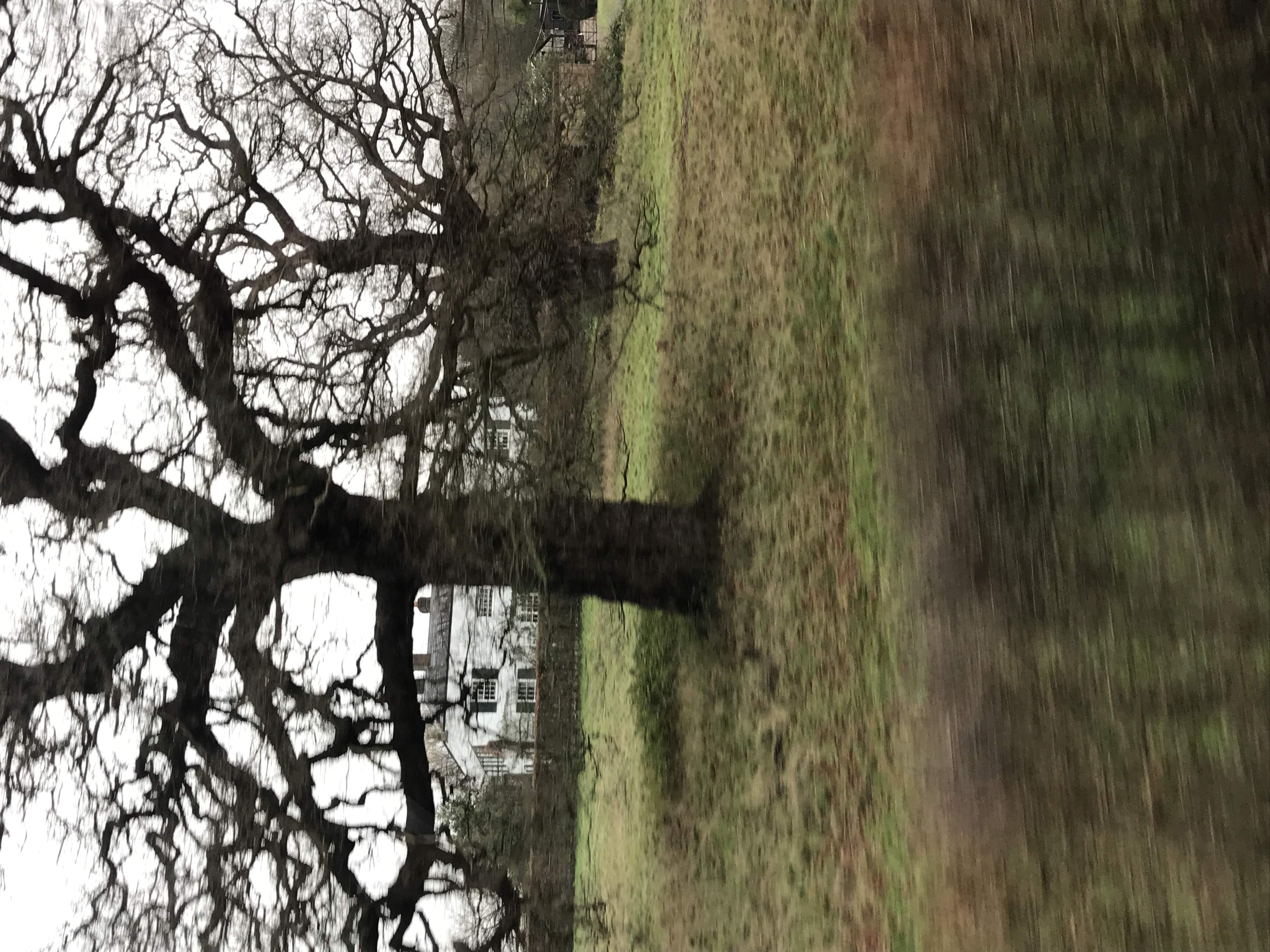 ./2018/15 - London/04 - Day 4/IMG_9233-1.jpg